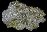 Glimmering Chalcopyrite & Calcite - Missouri #35118-2